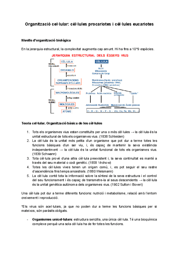 Miniatura del documento bfo-tema-3.pdf