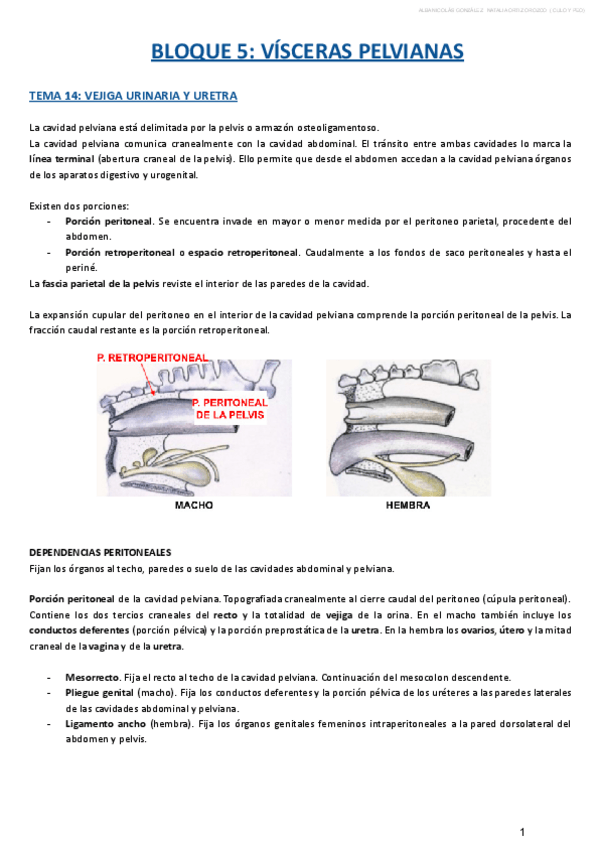 Miniatura del documento BLOQUE-V.pdf