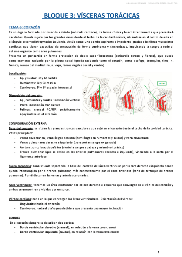 Miniatura del documento BLOQUE-III.pdf