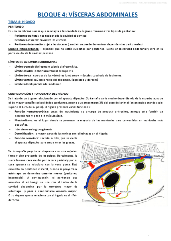 Miniatura del documento BLOQUE-IV-.pdf