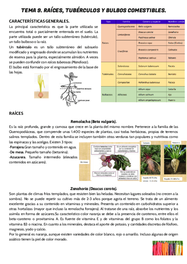 Miniatura del documento TEMA-9.pdf