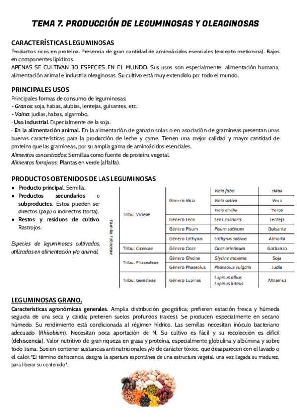 Miniatura del documento TEMA-7.pdf