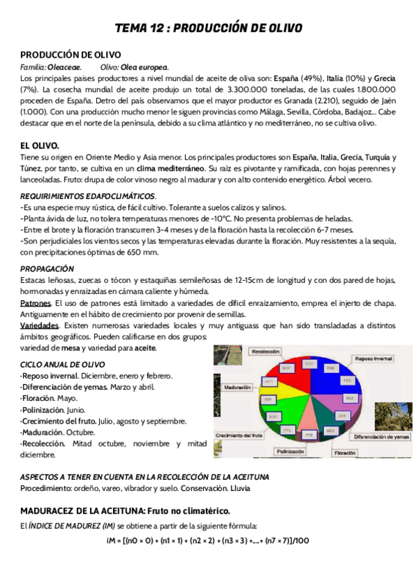 Miniatura del documento TEMA-12-.pdf