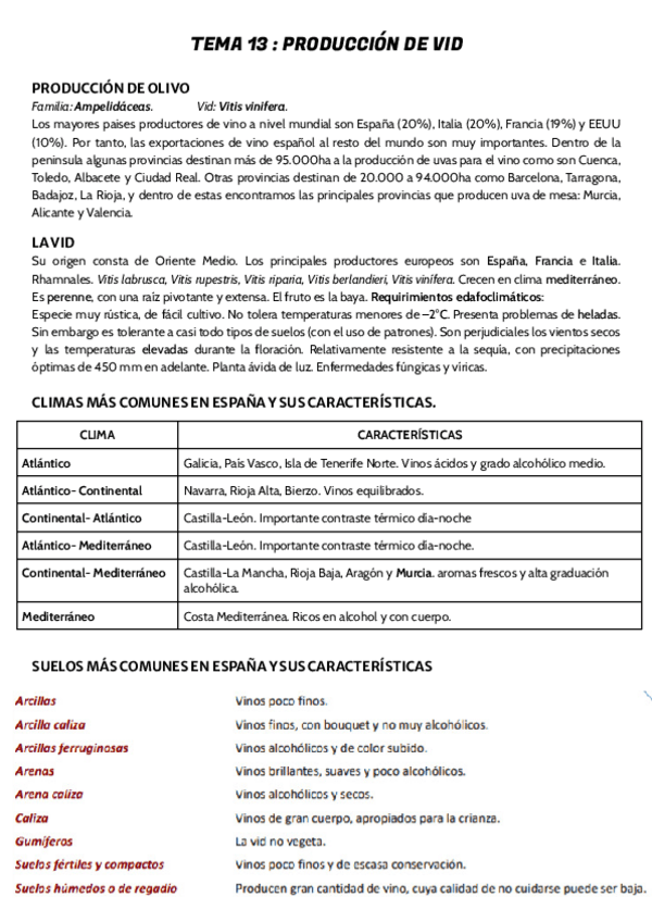 Miniatura del documento TEMA-13.pdf