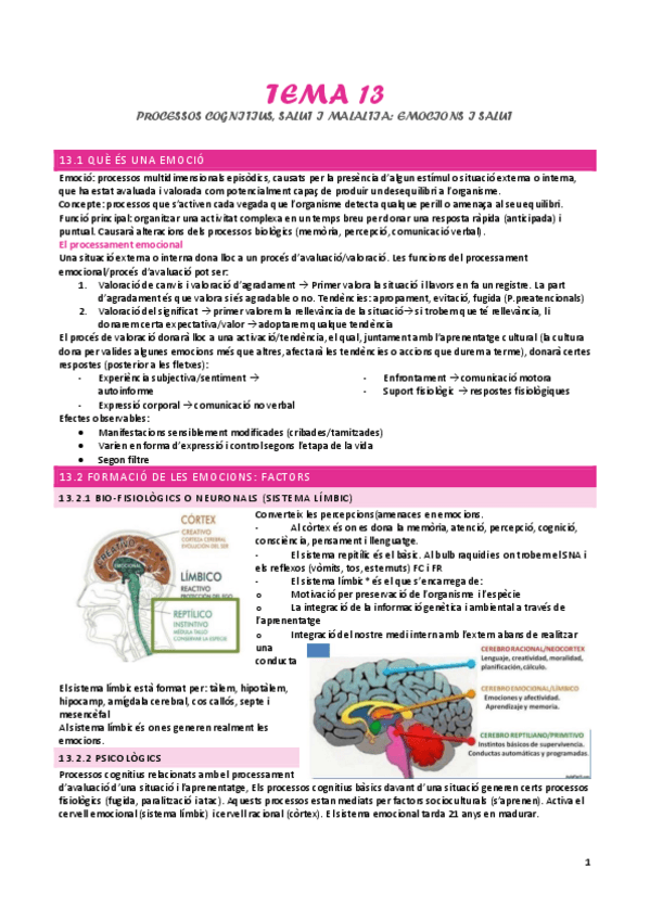 Miniatura del documento tema-13-processos-cognitius-salut-i-malaltia-II.pdf
