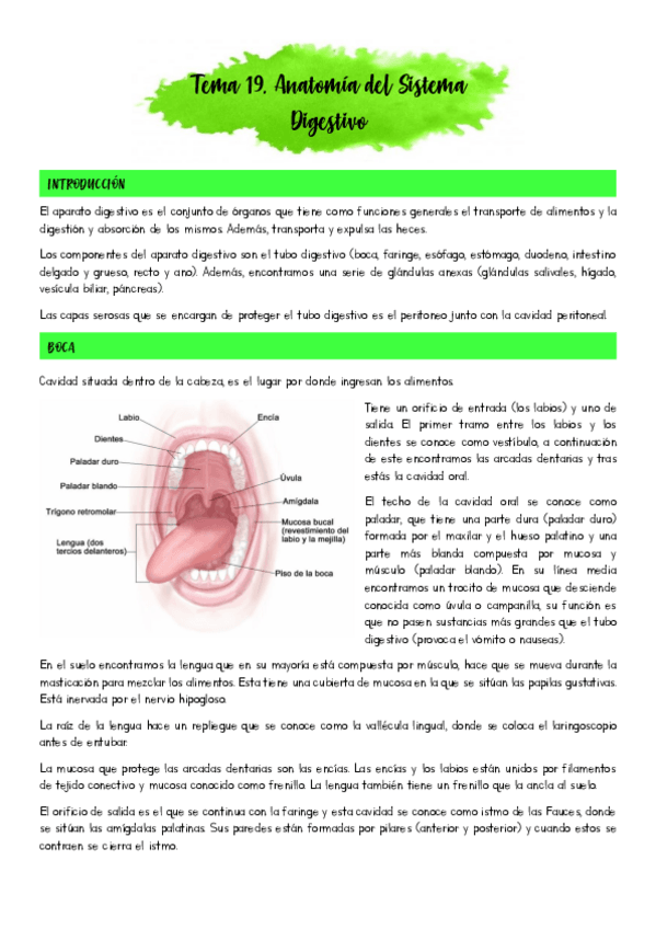Miniatura del documento Tema-19.pdf