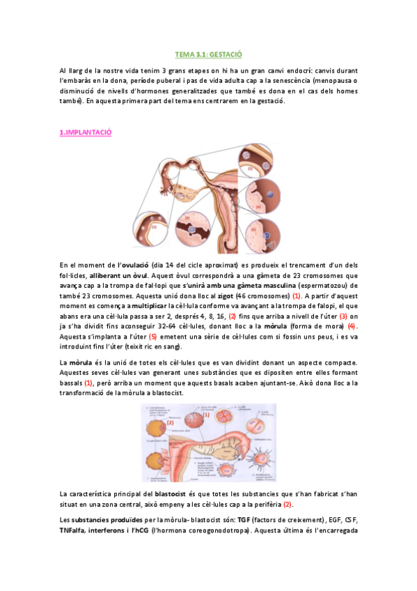 Miniatura del documento TEMA-3.pdf