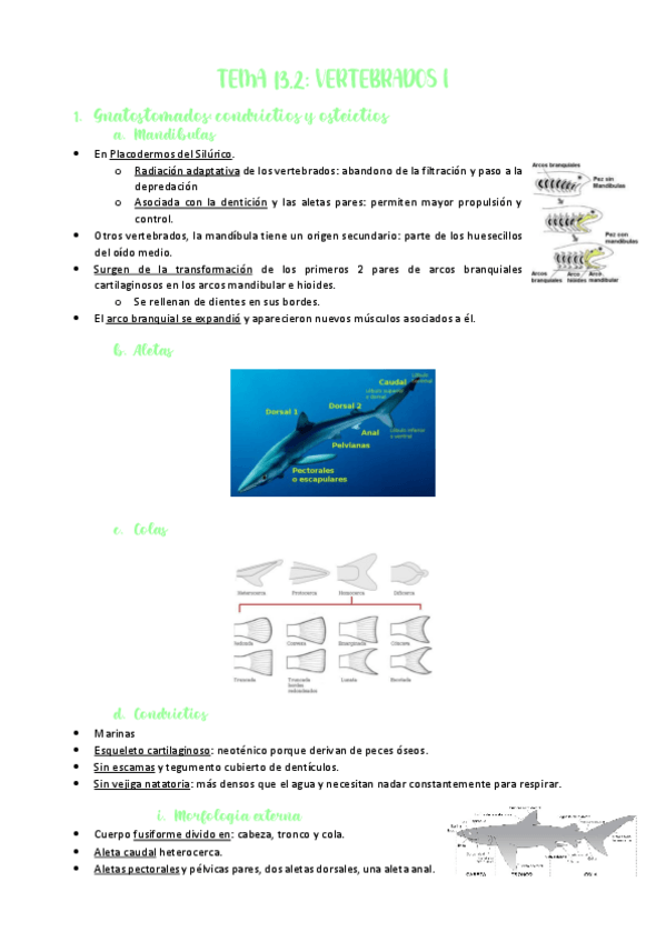 Miniatura del documento TEMA-13.pdf