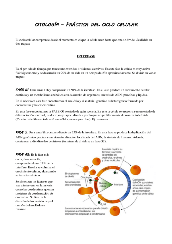 Miniatura del documento PRACTICA-CICLO-CELULAR.pdf