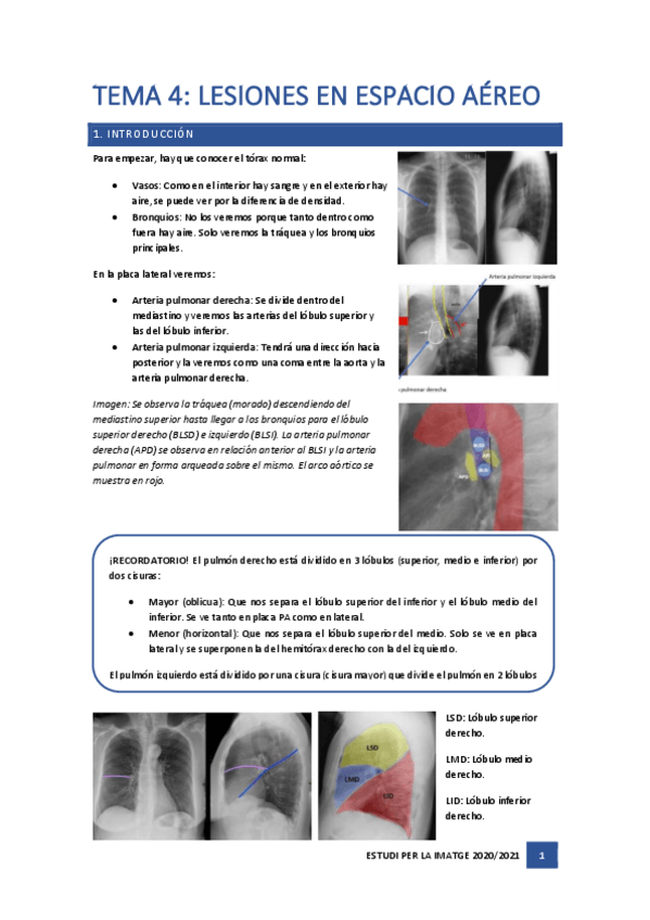 Miniatura del documento Tema-4.pdf