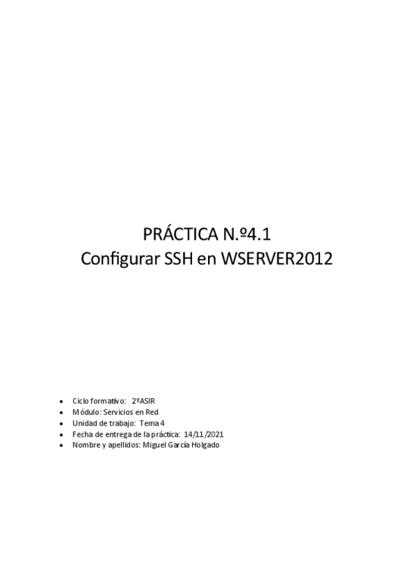 Miniatura del documento GarciaHolgadoMiguelP4.pdf