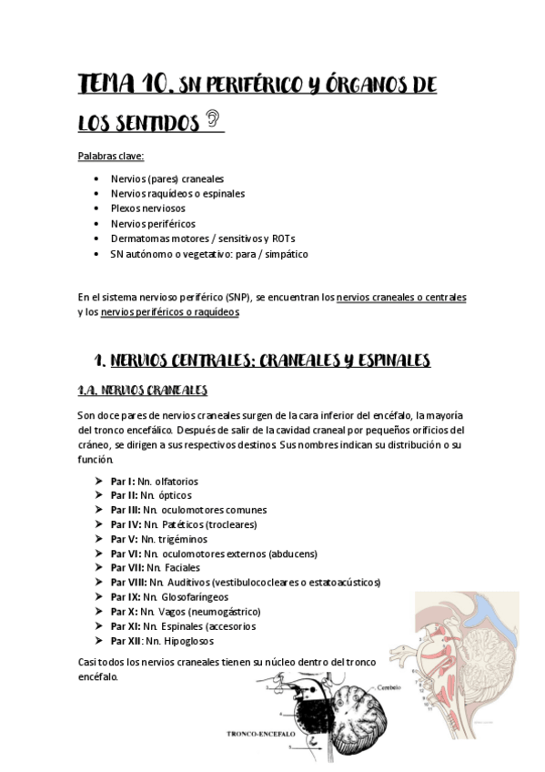 Miniatura del documento Tema-10.pdf