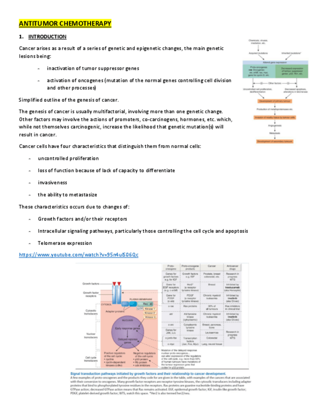 Miniatura del documento CHAPTER-24-25-AND-26.pdf