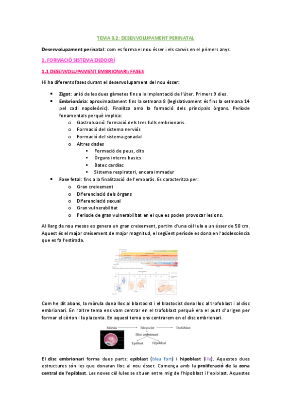 Miniatura del documento TEMA-3.pdf