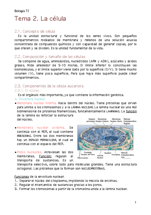 Miniatura del documento MT2. La célula.pdf