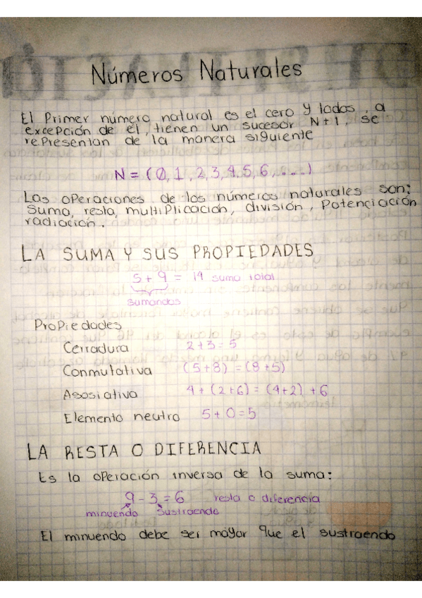 Miniatura del documento numeros-naturales.pdf