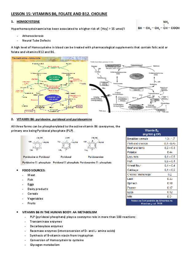 Miniatura del documento LESSON-15.pdf