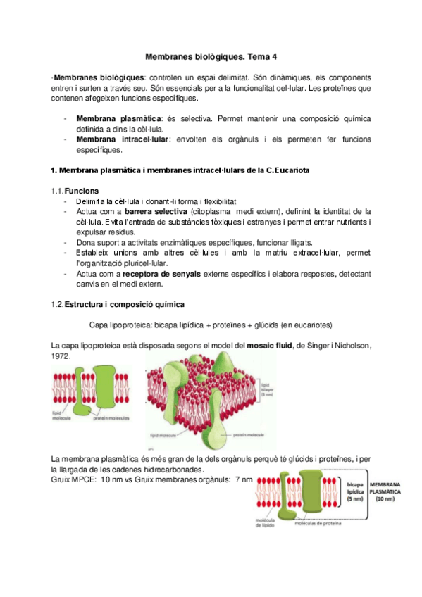 Miniatura del documento bfo-tema-4.pdf