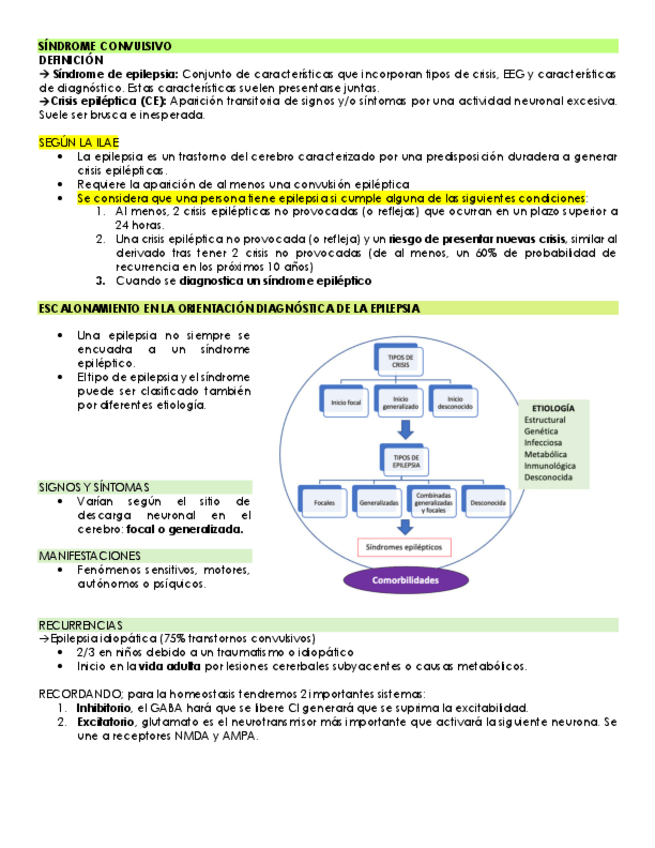 Miniatura del documento SINDROME-CONVULSIVO.pdf