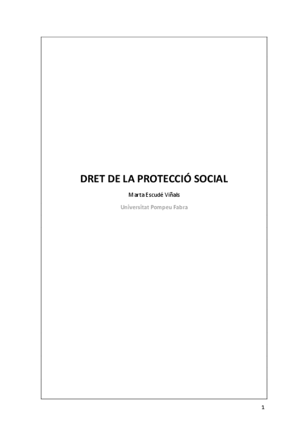 Miniatura del documento DRET-DE-LA-PROTECCIO-SOCIAL.pdf