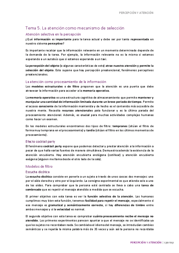 Miniatura del documento ATENCION-T5.pdf