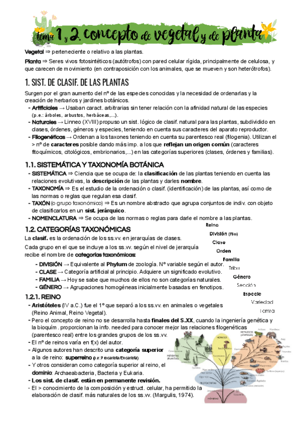 Miniatura del documento Tema-1-y-2.pdf