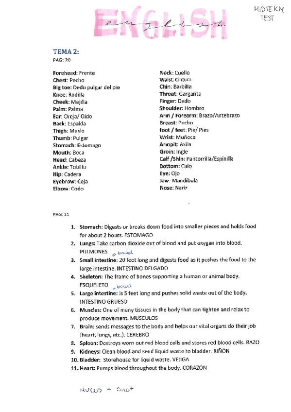 Miniatura del documento ENGLISH.pdf