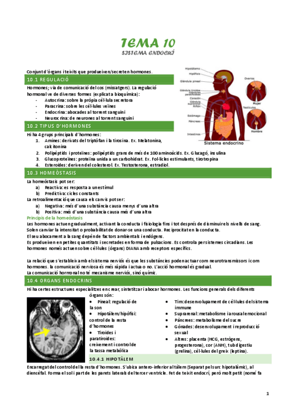 Miniatura del documento tema-10-sistema-endocri.pdf