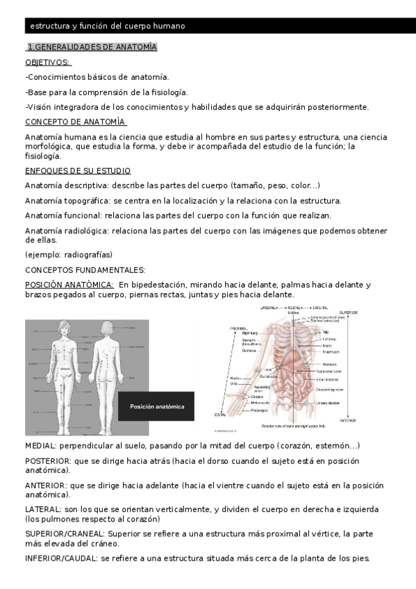 Miniatura del documento ESTRUCTURA.docx