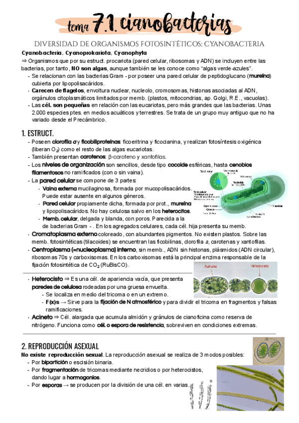 Miniatura del documento Tema-7-1.pdf