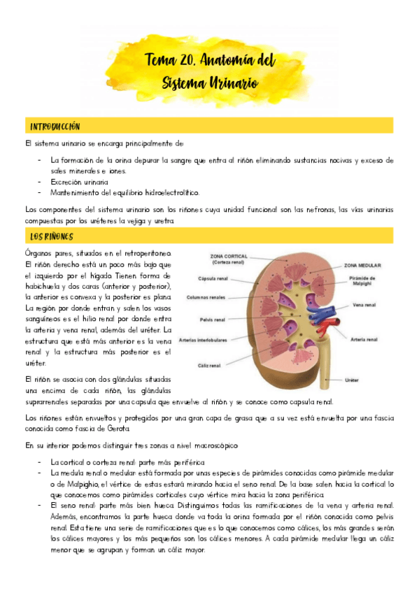 Miniatura del documento Tema-20.pdf