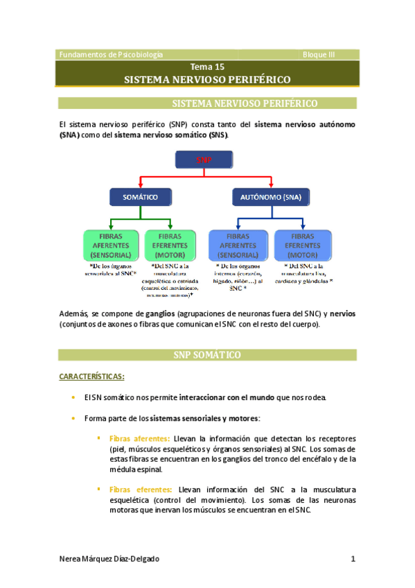 Miniatura del documento Tema-15-Sistema-nervioso-periferico.pdf