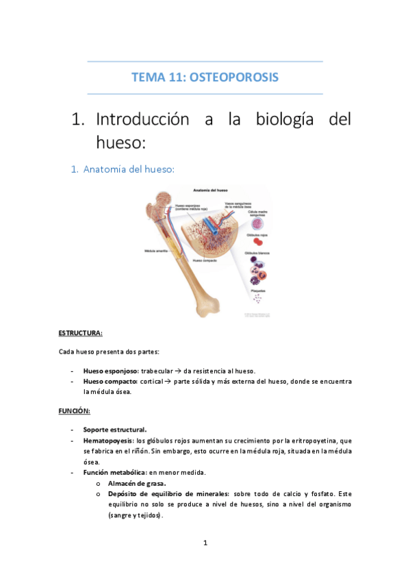 Miniatura del documento TEMA-11-OSTEOPOROSIS.pdf