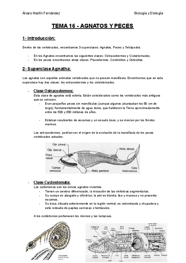 Miniatura del documento TEMA-16-AGNATOS-Y-PECES.pdf