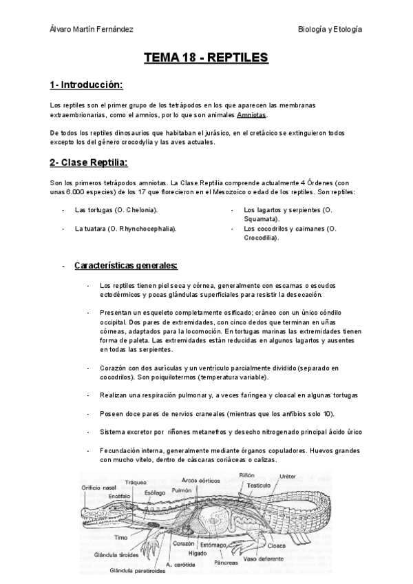 Miniatura del documento TEMA-18-REPTILES.pdf