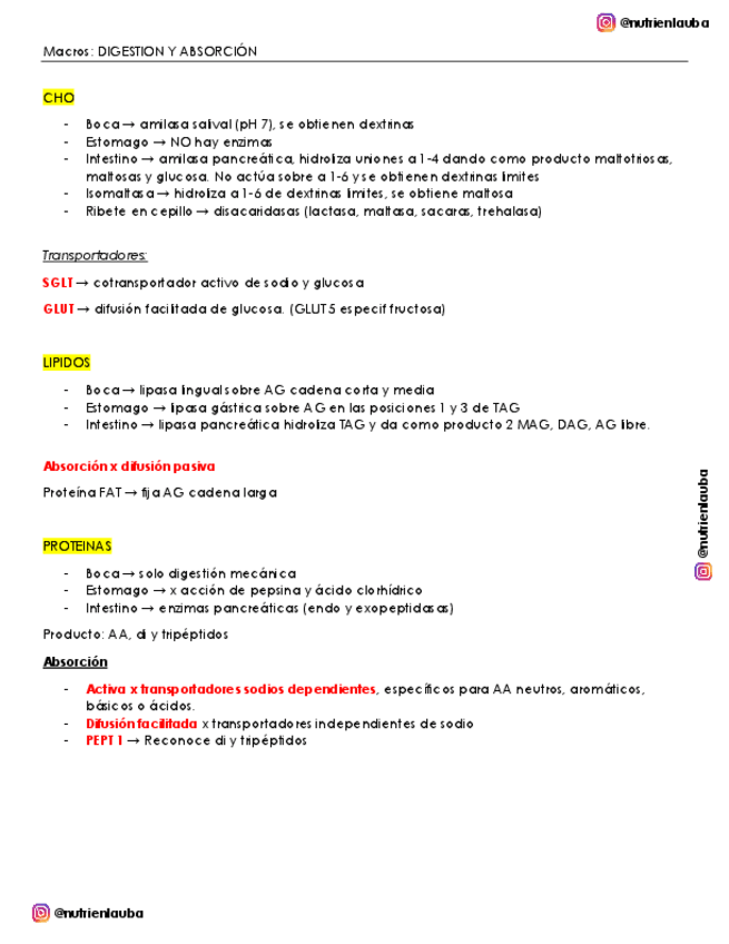 Miniatura del documento MACROS-ABSORCION-Y-DIGESTION.pdf