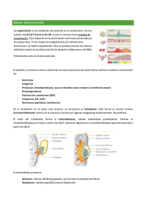 Miniatura del documento implantacion.pdf