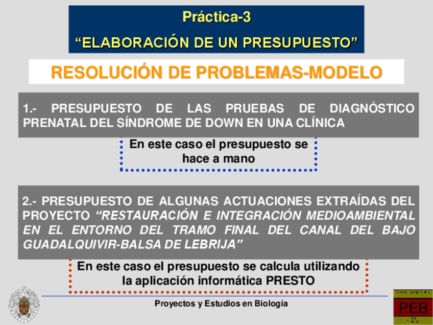 Miniatura del documento P3G_PRESUPUESTO.pdf