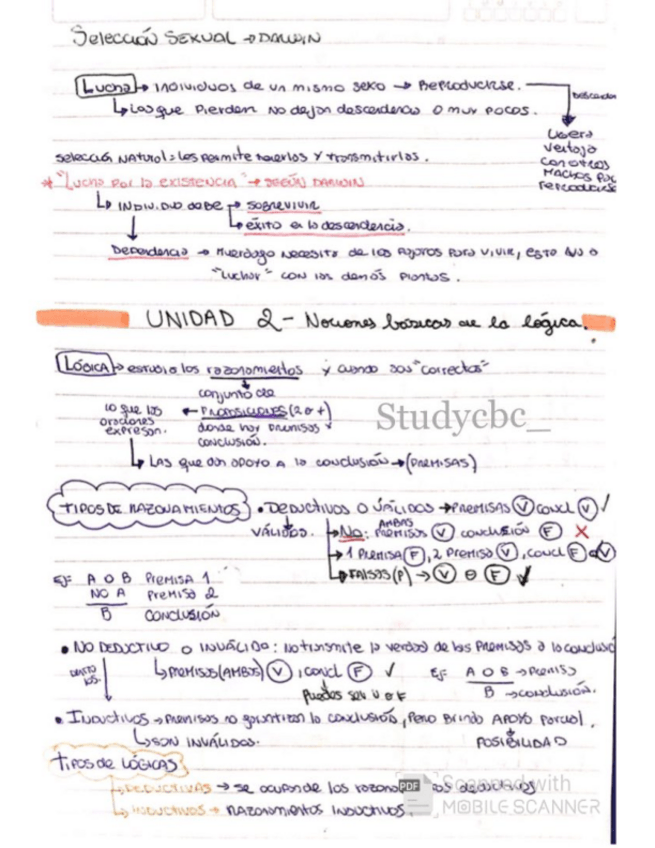 Miniatura del documento 2021-12-21-15.pdf