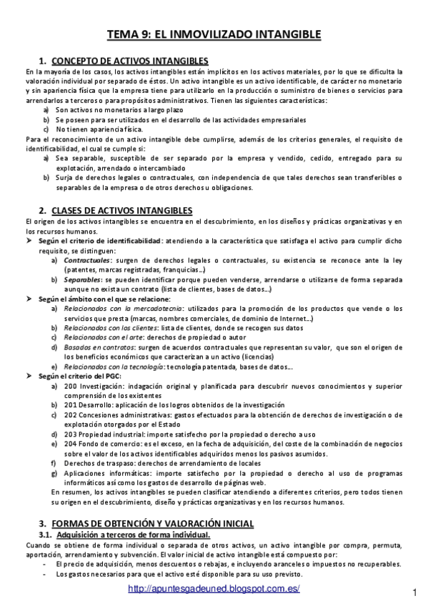 Miniatura del documento T09-El-inmovilizado-intangible.pdf