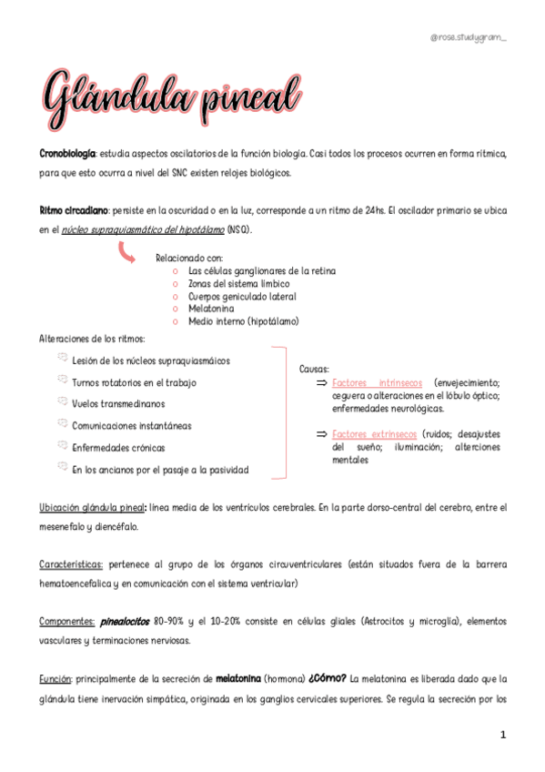 Miniatura del documento T13-Glandula-Pineal.pdf
