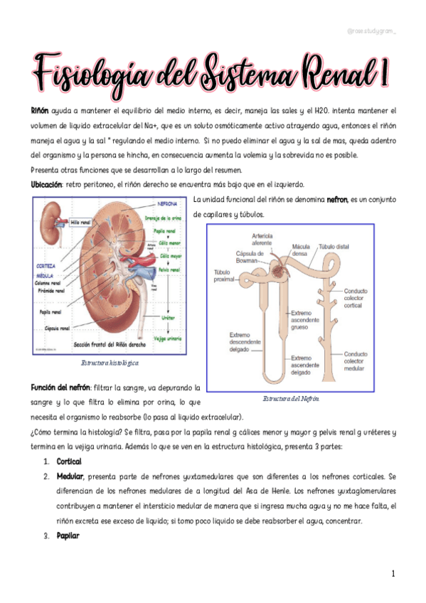 Miniatura del documento T24-Fisiologia-Renal-I.pdf