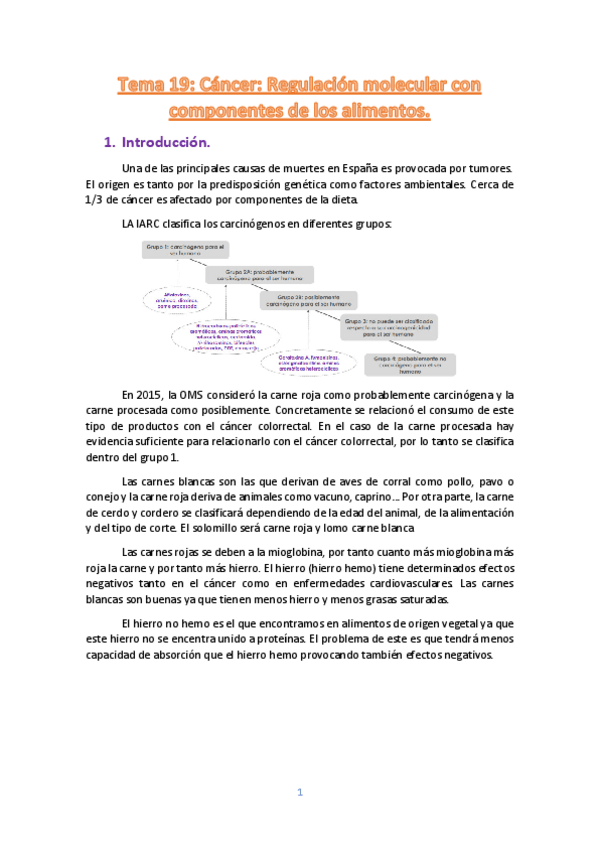 Miniatura del documento Tema-19.pdf