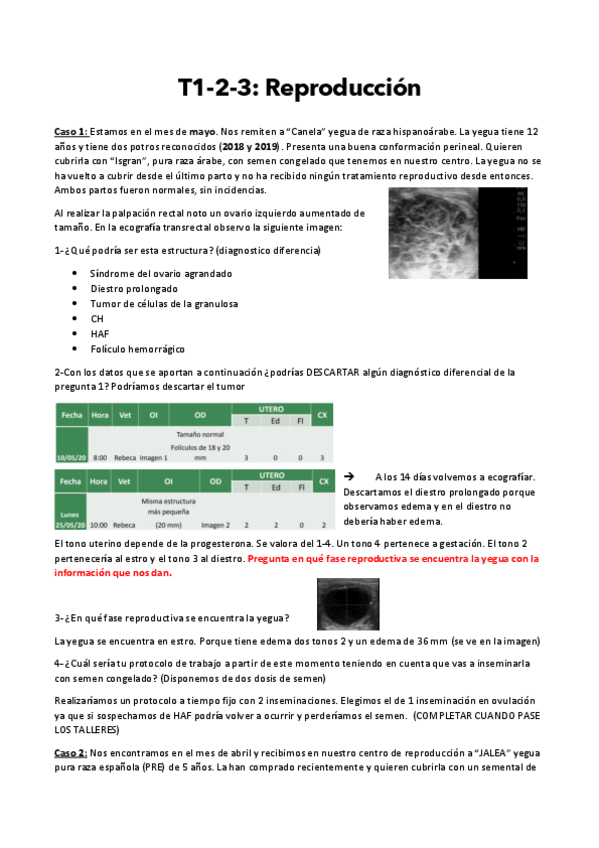 Miniatura del documento TODOS-TALLERES-CE-I.pdf