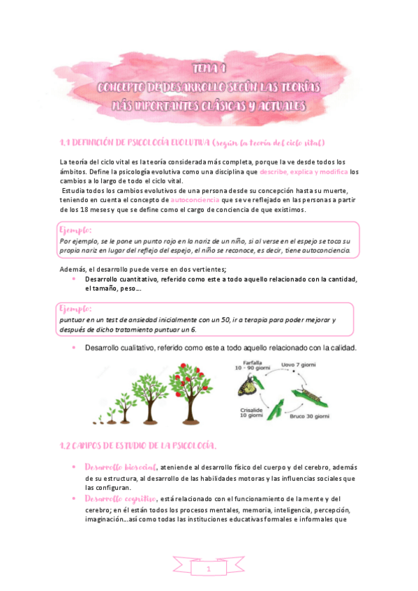 Miniatura del documento TEMA-1-PSICOLOGIA-DEL-DESARROLLO.pdf