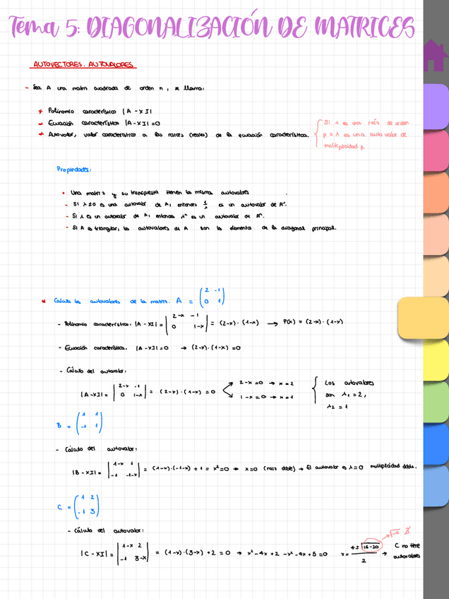 Miniatura del documento Tema 5 - Diagonalización de matrices 