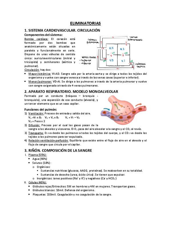 Miniatura del documento PREGUNTAS-ELIMINATORIAS-CALDERON.pdf