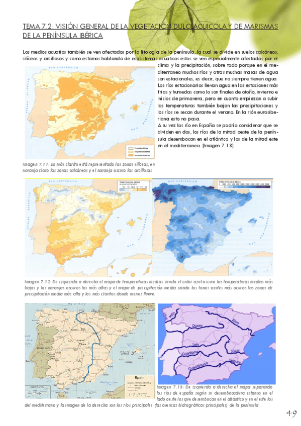 Miniatura del documento ABV-Tema-7.pdf