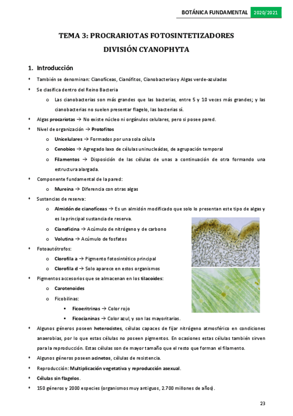 Miniatura del documento Tema-3.pdf