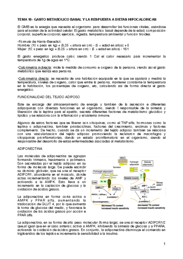 Miniatura del documento TEMA-10-GASTO-METABOLICO-BASAL-Y-LA-RESPUESTA-A-DIETAS-HIPOCALORICAS.pdf
